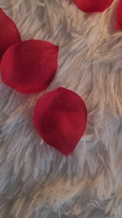 Sip and Paint Starter Kit